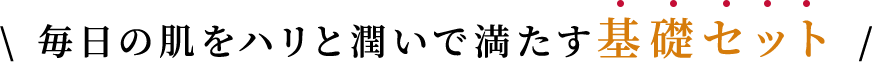 \ 毎日の肌をハリと潤いで満たす基礎セット /